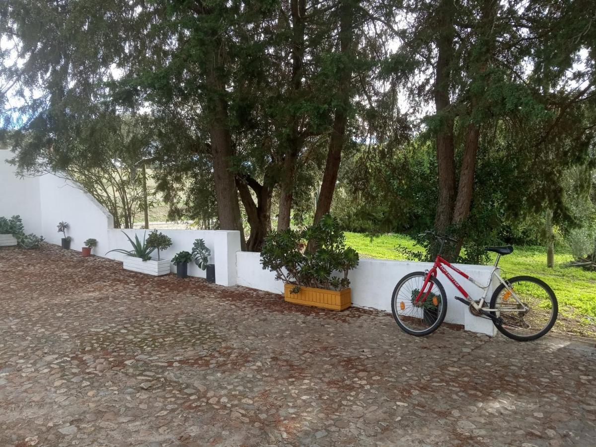 Monte Da Samarra Villa Aviz Buitenkant foto