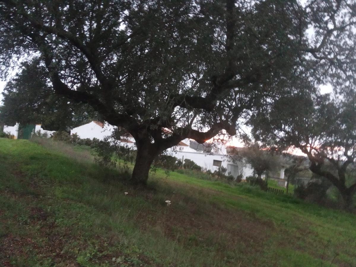 Monte Da Samarra Villa Aviz Buitenkant foto