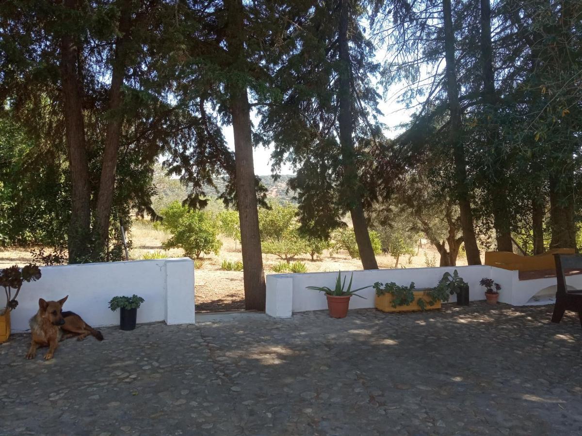 Monte Da Samarra Villa Aviz Buitenkant foto
