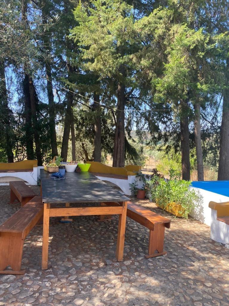 Monte Da Samarra Villa Aviz Buitenkant foto