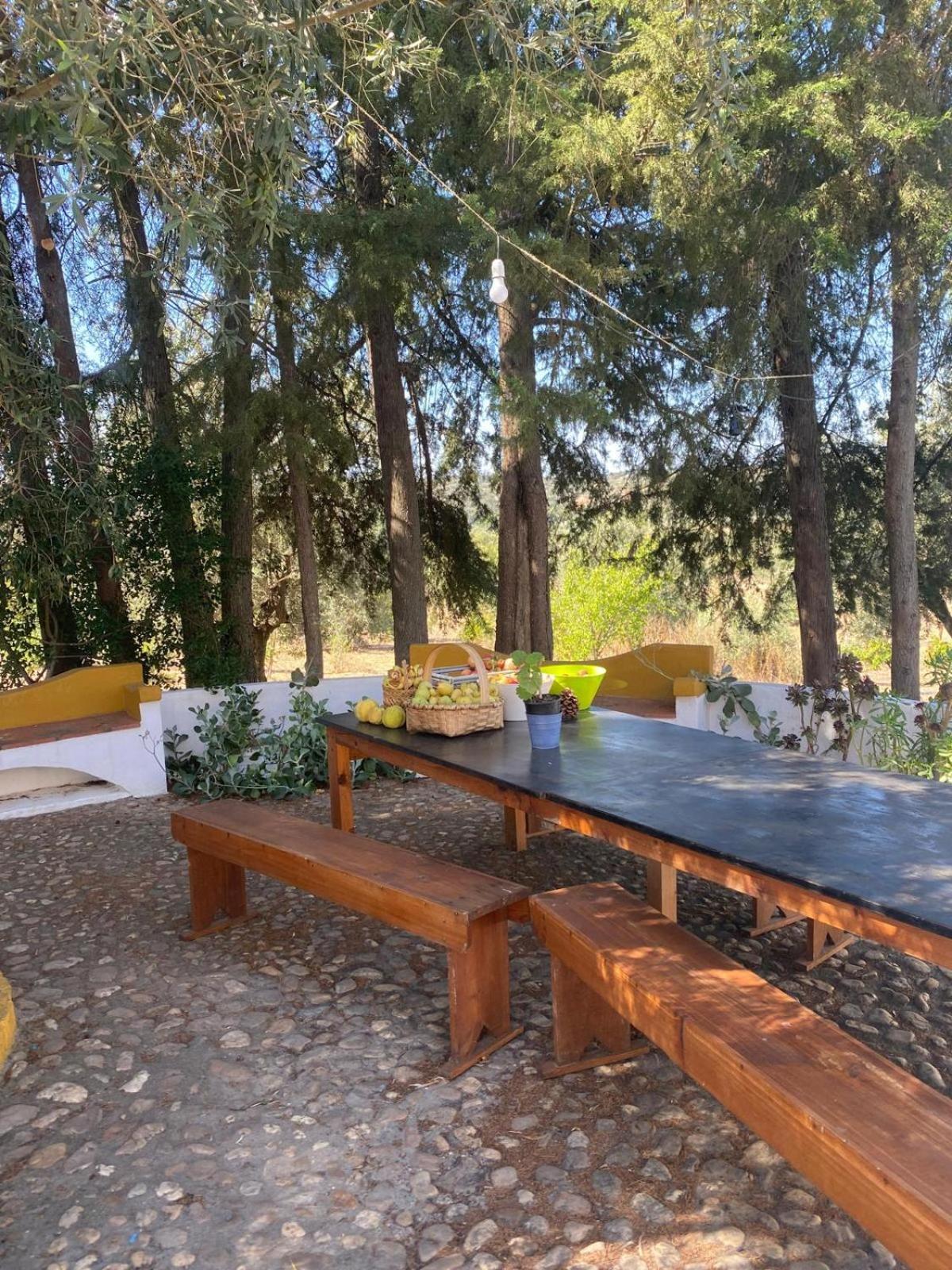Monte Da Samarra Villa Aviz Buitenkant foto