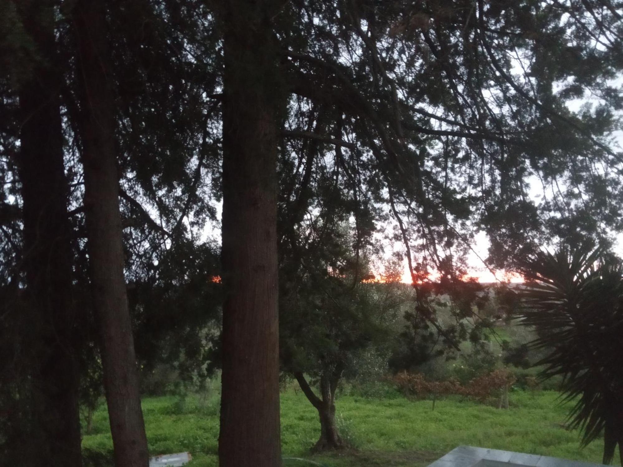 Monte Da Samarra Villa Aviz Buitenkant foto