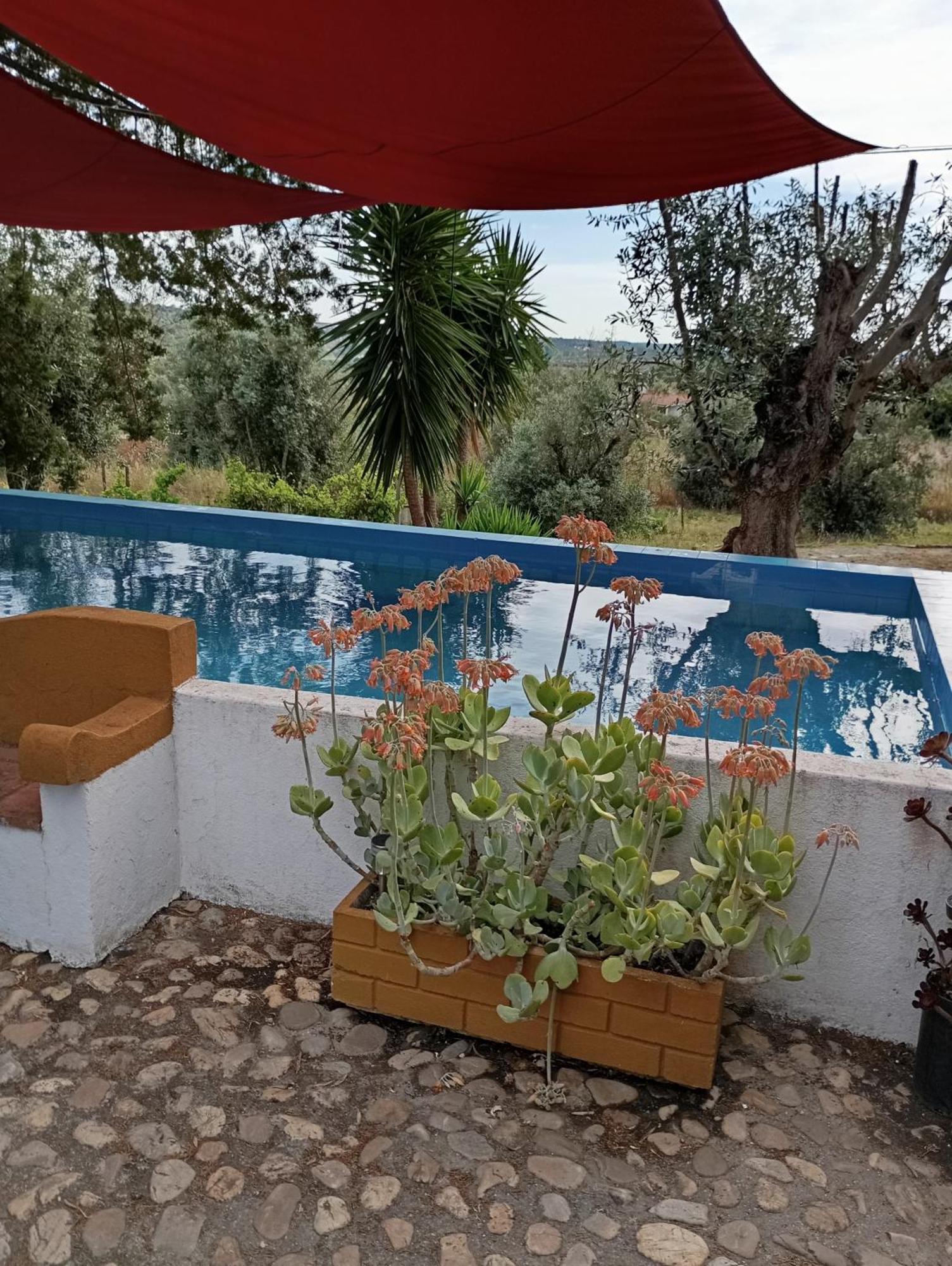 Monte Da Samarra Villa Aviz Buitenkant foto