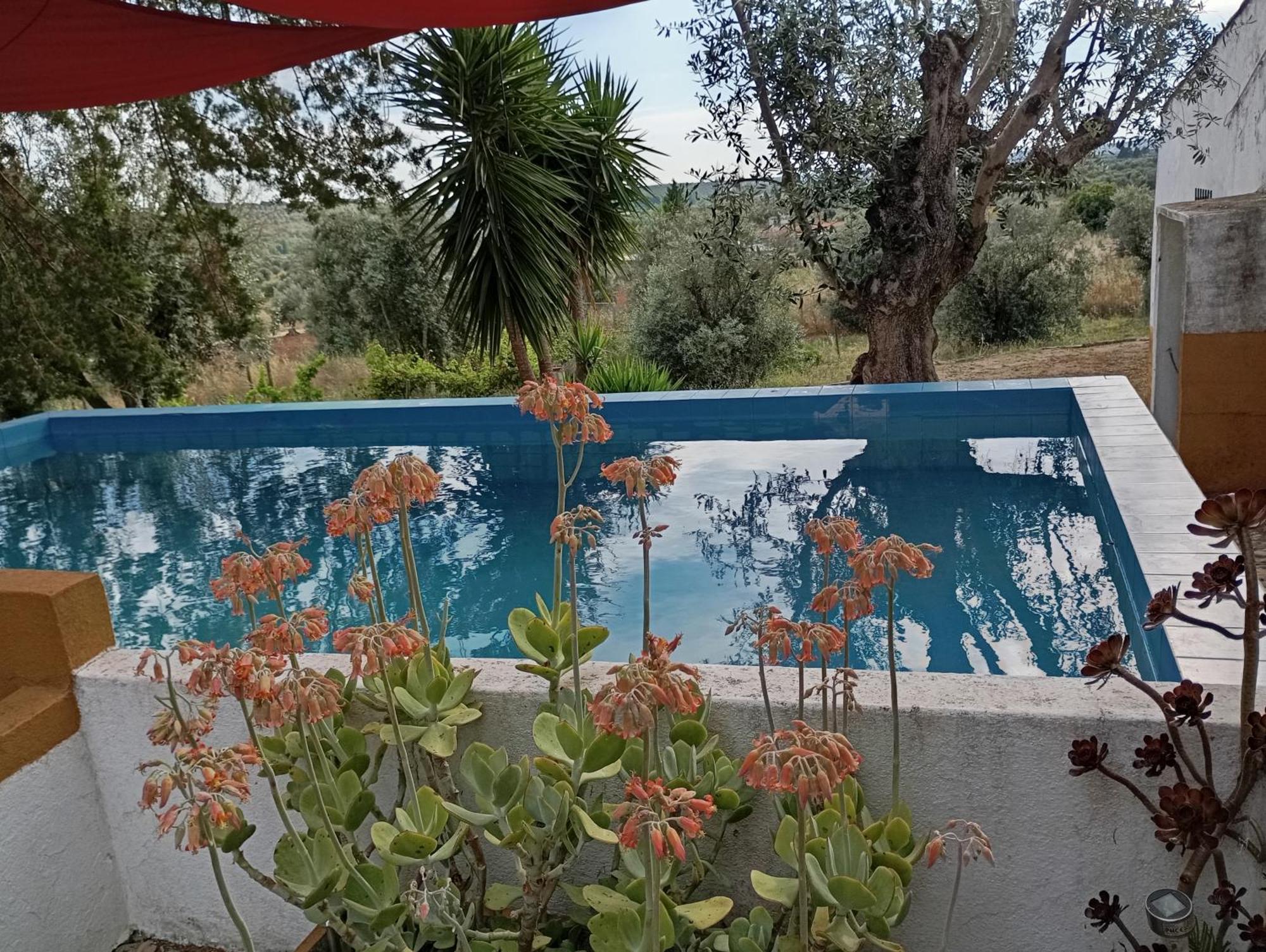 Monte Da Samarra Villa Aviz Buitenkant foto
